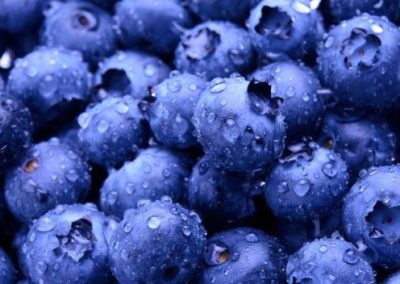 Summer Pudding