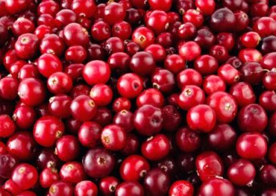 Christmas Vegetables with Cranberries