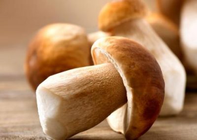 Christmas Mushroom Pie
