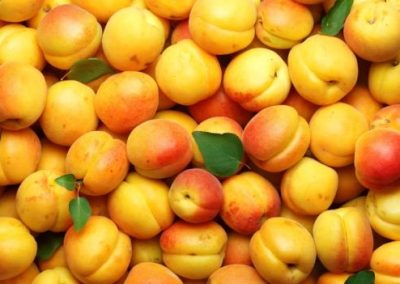 Almond and Apricot Jam