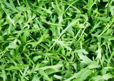 Ricotta, Rocket and Pine Nut Foccaccia