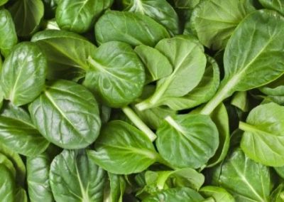 Cream of Spinach and Courgette Soup
